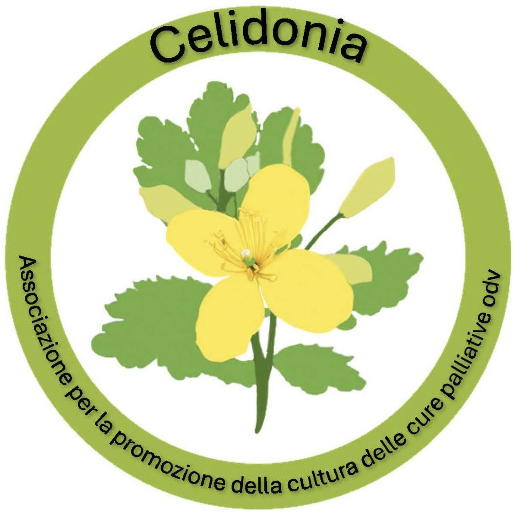 CELIDONIA